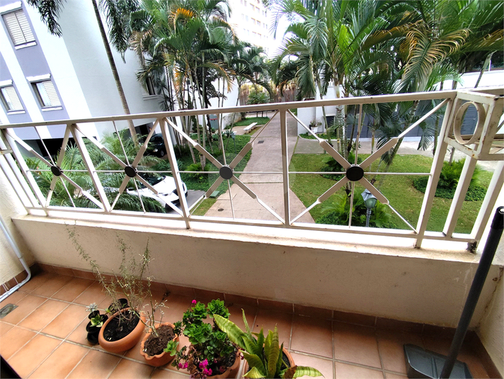 Foto REO1101560