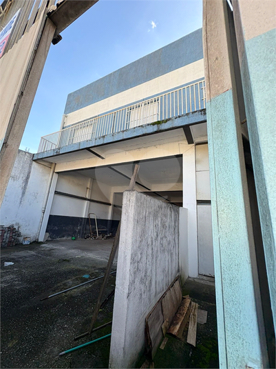 Foto REO1101566