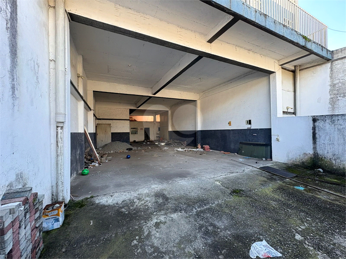 Foto REO1101566