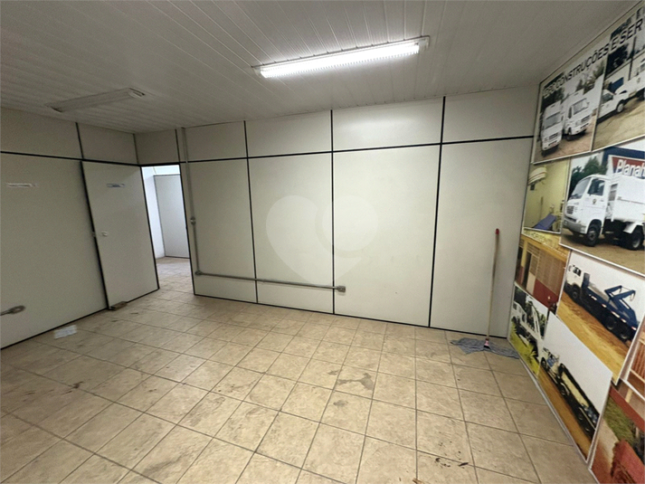 Foto REO1101566