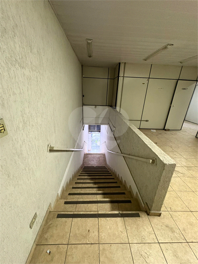 Foto REO1101566