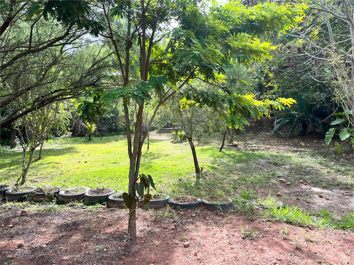 Foto REO1101576