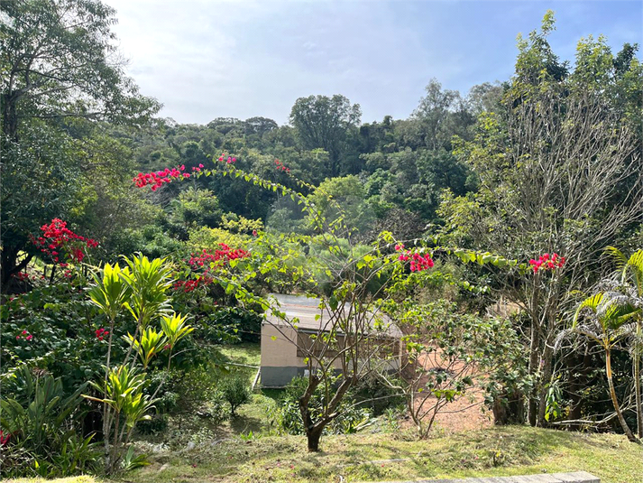 Foto REO1101576
