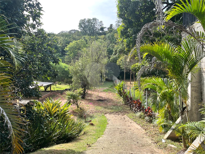 Foto REO1101576