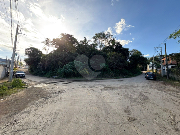 Foto REO1101577