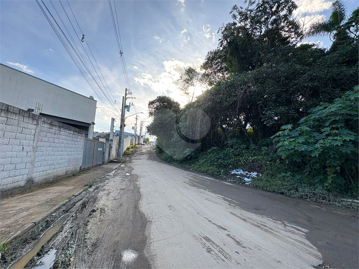 Foto REO1101577