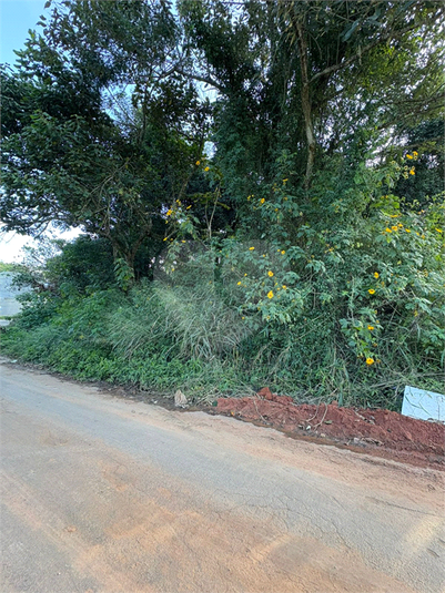 Foto REO1101577