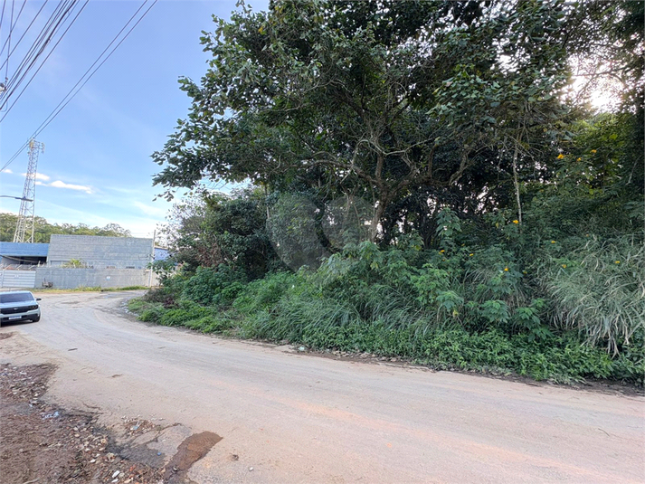 Foto REO1101577
