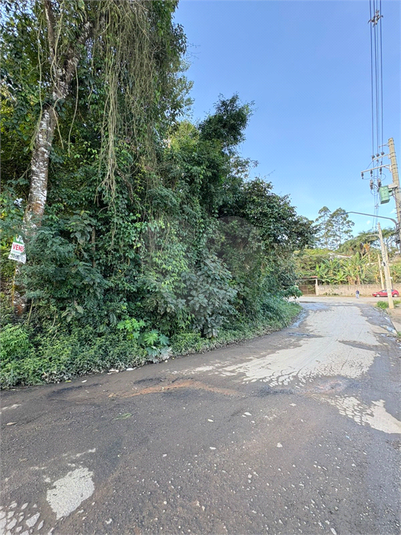 Foto REO1101577