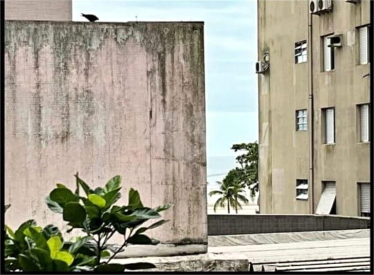 Foto REO1101594