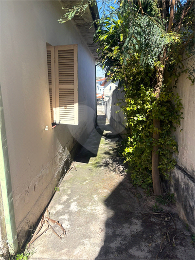 Foto REO1101628