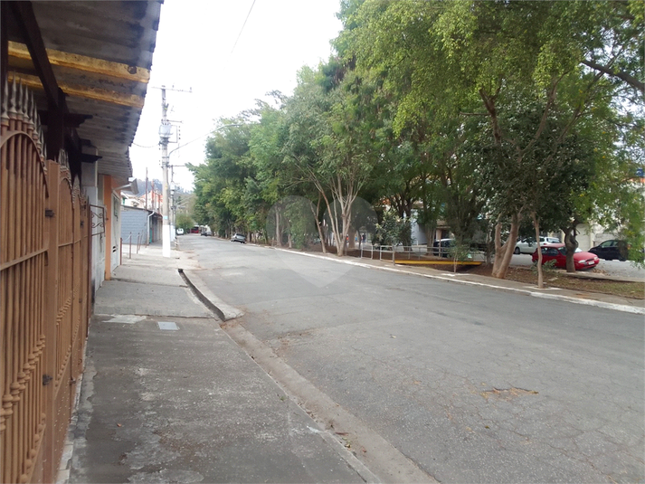Foto REO1101631