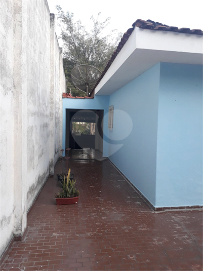Foto REO1101631