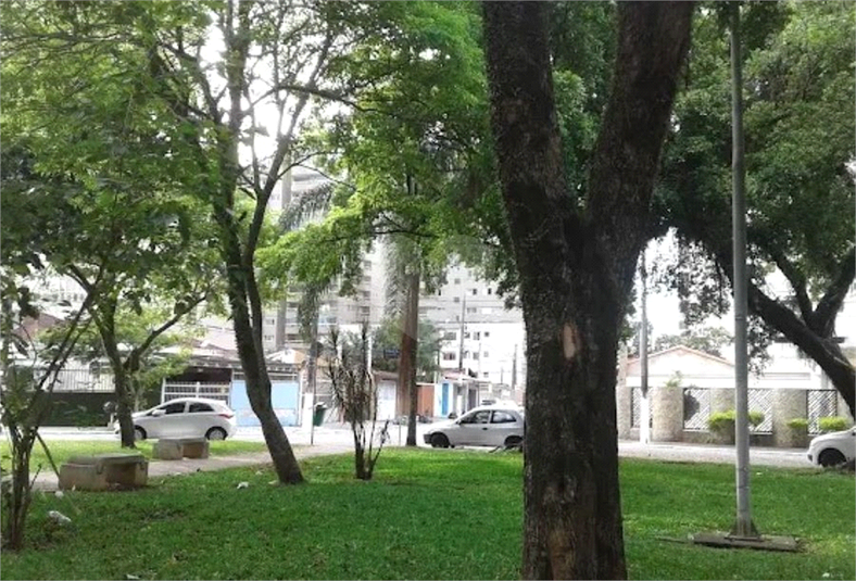 Foto REO1101658
