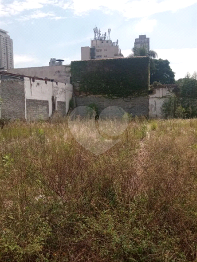 Foto REO1101666