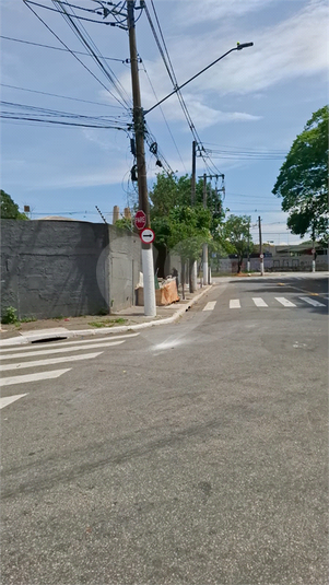 Foto REO1101667
