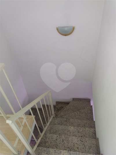 Foto REO1101676