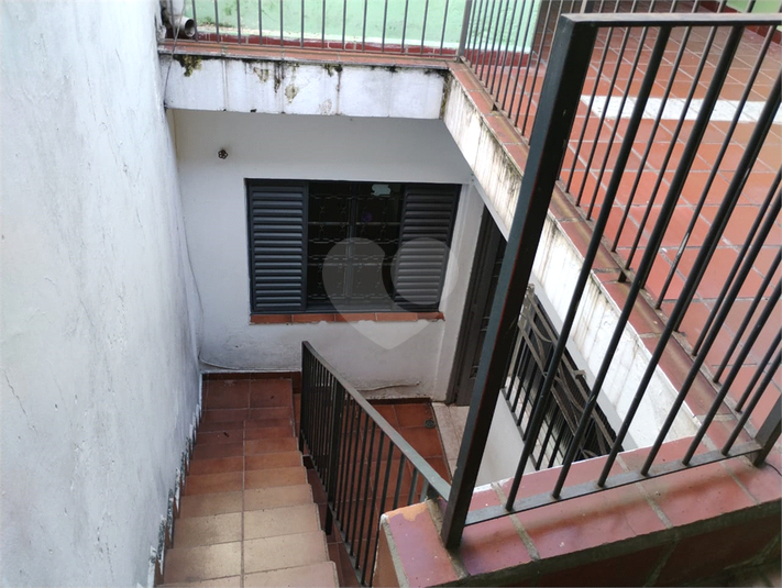 Foto REO1101711