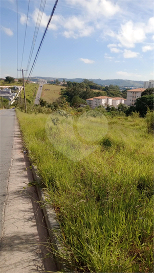 Foto REO1101713