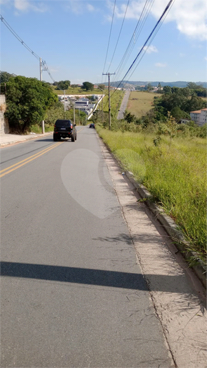 Foto REO1101713