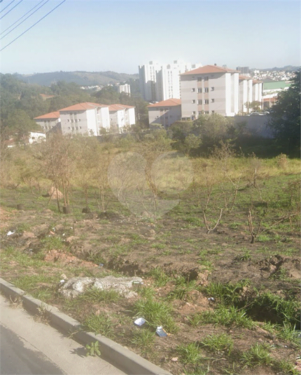 Foto REO1101713