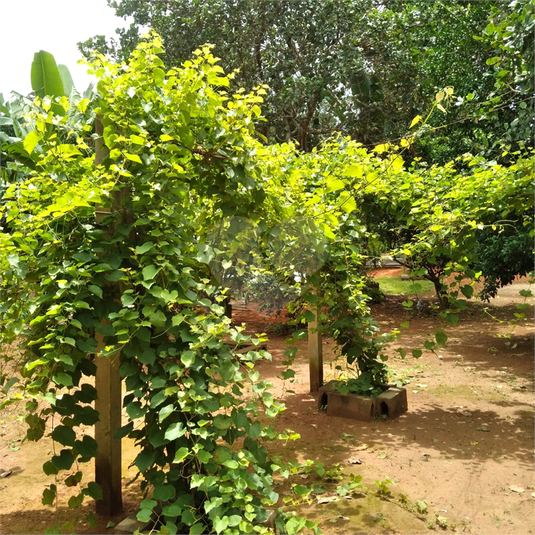 Foto REO1101756