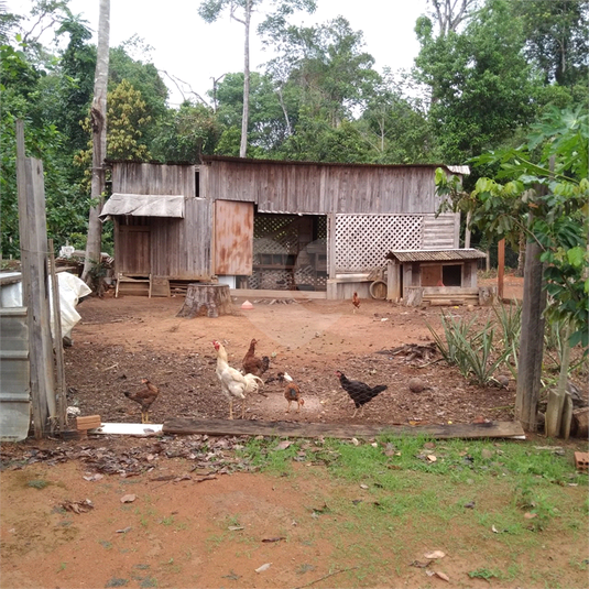 Foto REO1101756