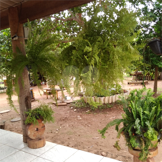Foto REO1101756