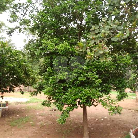 Foto REO1101756