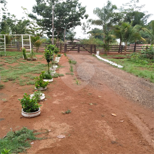 Foto REO1101756