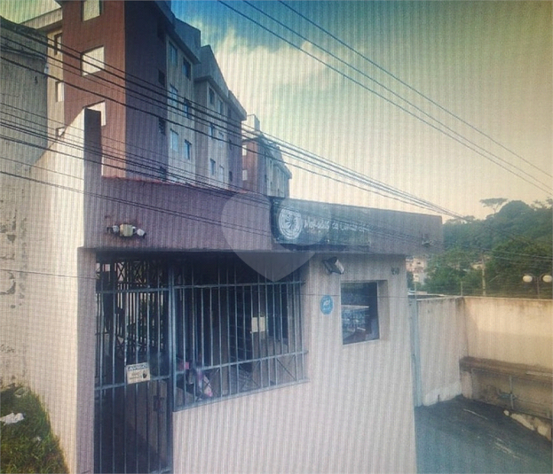 Foto REO1101803
