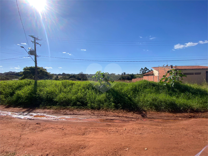 Foto REO1101819