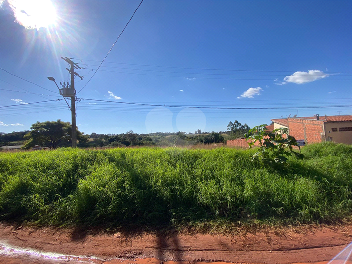 Foto REO1101819