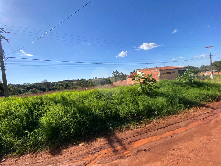 Foto REO1101826
