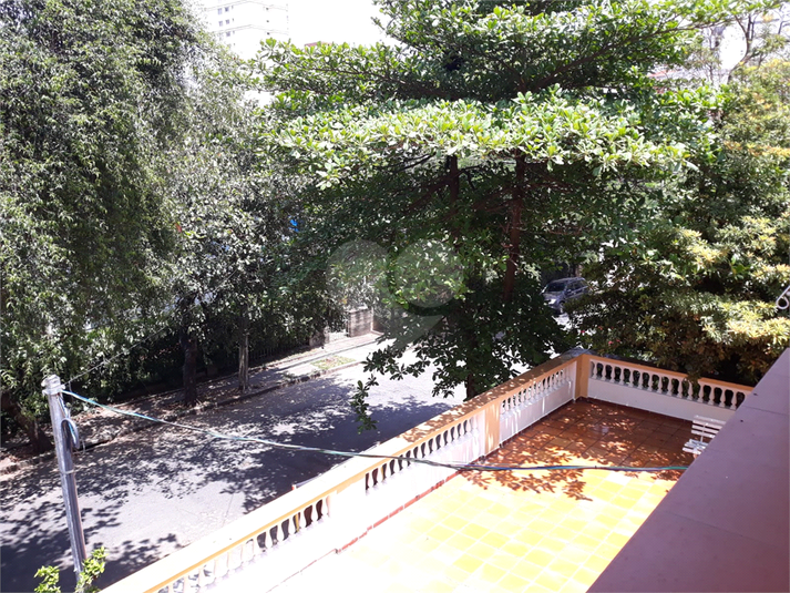 Foto REO1101844