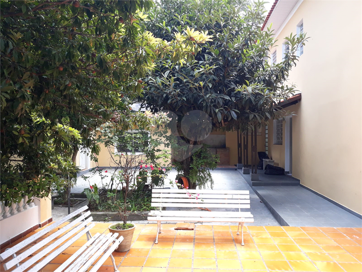Foto REO1101844