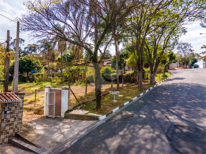 Foto REO1101864