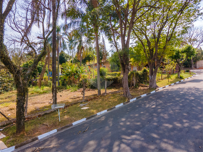 Foto REO1101864