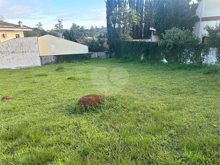 Foto REO1101887