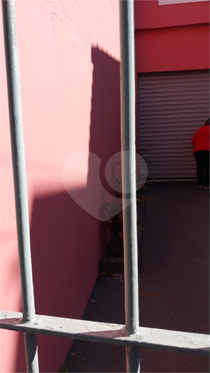 Foto REO1101910