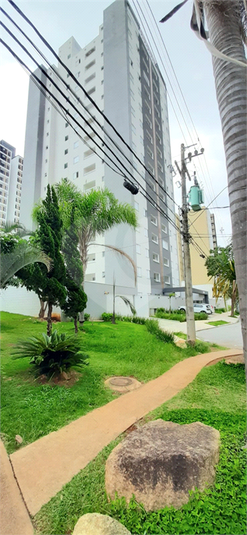 Foto REO1101912