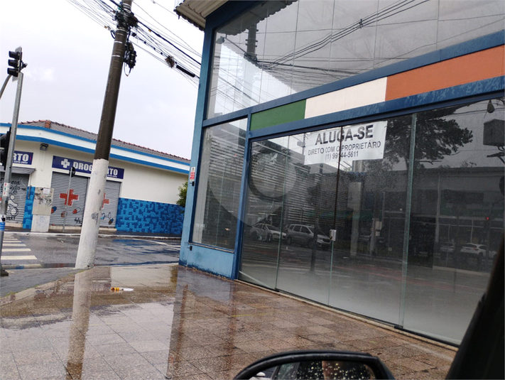 Foto REO1101927