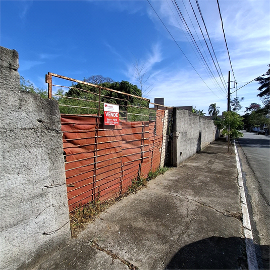 Foto REO1101929