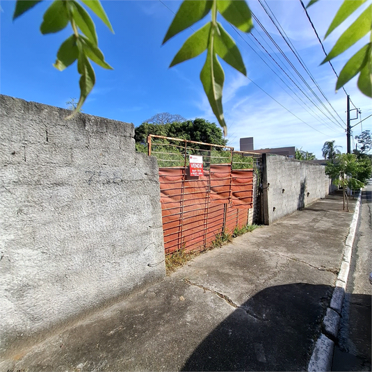 Foto REO1101929