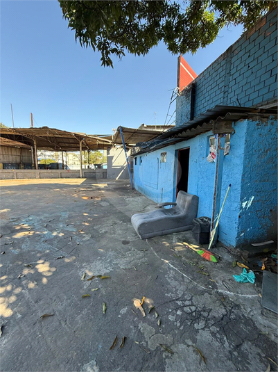 Foto REO1101936