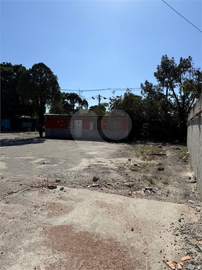 Foto REO1101936