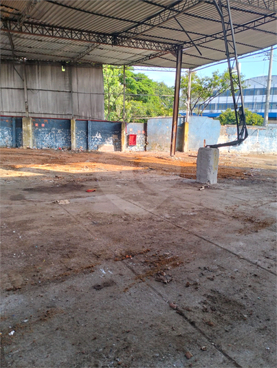 Foto REO1101936