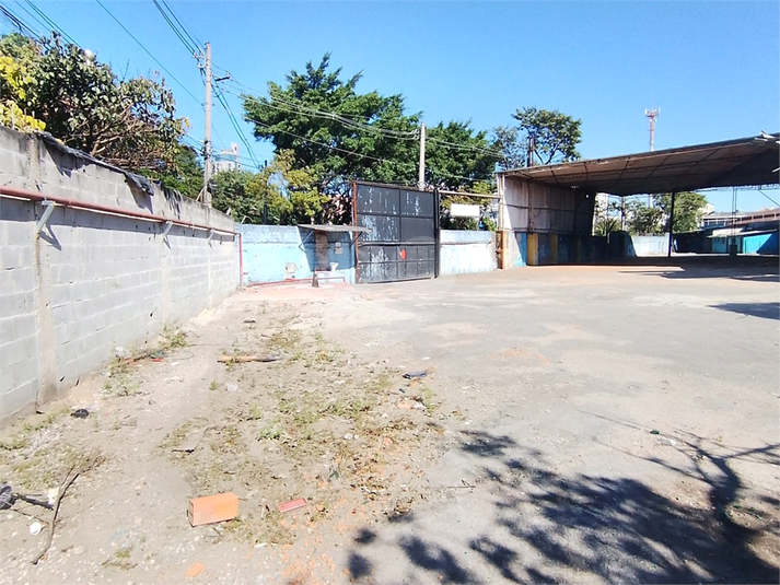 Foto REO1101936