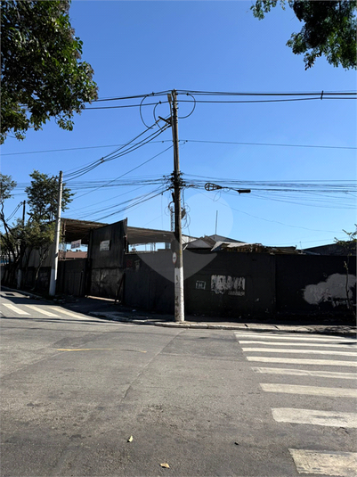 Foto REO1101936