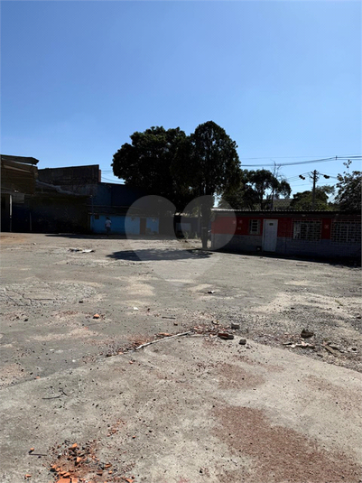 Foto REO1101936